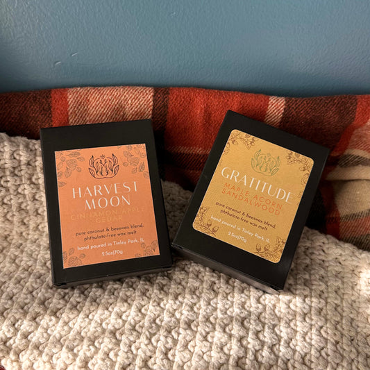 holiday wax melts | 6 count