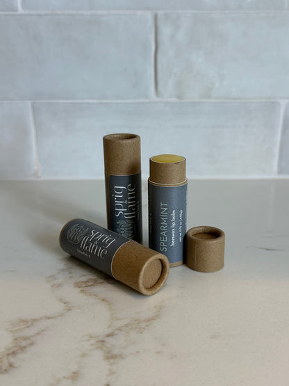 Beeswax Lip Balms
